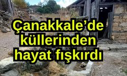 Çanakkale’de küllerinden hayat fışkırda