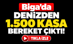 Biga’da denizden 1.500 kasa bereket çıktı!