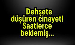 Dehşete düşüren cinayet! Saatlerce beklemiş…