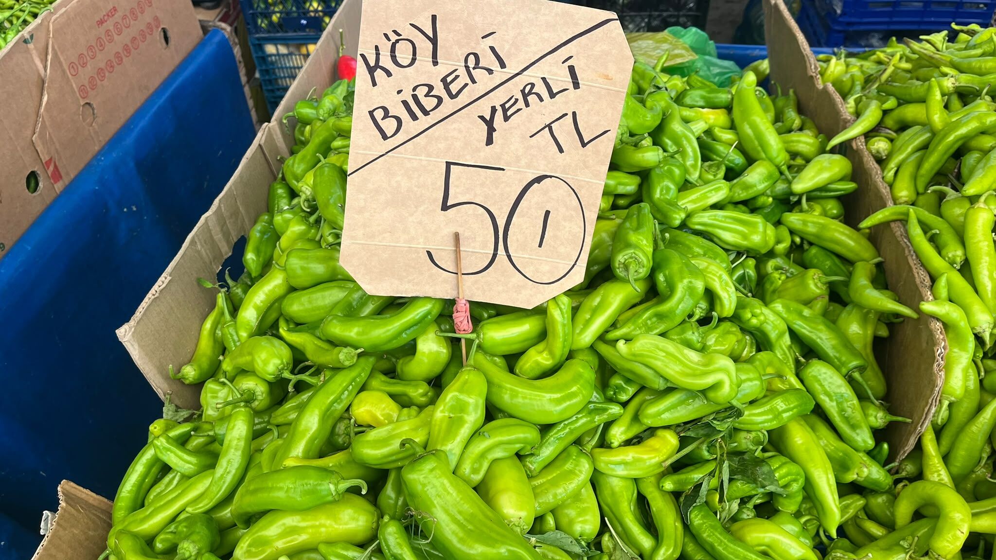 Çanakkale pazarında dikkat çeken sabah fiyatları
