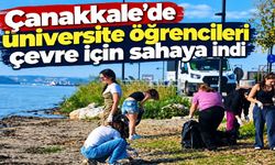 Çanakkale'de üniversite öğrencileri çevre için sahaya indi