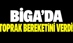 Biga’da toprak bereketini verdi!