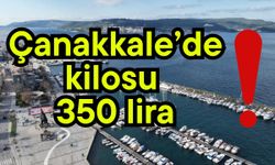 Çanakkale’de kilosu 350 lira!