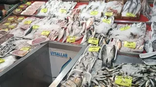 Balık sezonu erken bitti: Fiyatlar aynı satış çok yok