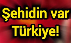 Şehidin var Türkiye!