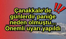 Çanakkale'de günlerdir paniğe neden olmuştu... Önemli uyarı yapıldı (Video)