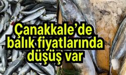 Çanakkale’de balık fiyatlarında düşüş var