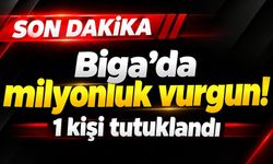 Biga'da milyonluk vurgun! 1 kişi tutuklandı
