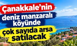 Çanakkale’nin köyünde çok sayıda arsa satılacak