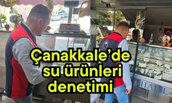 Çanakkale’de su ürünleri denetimi