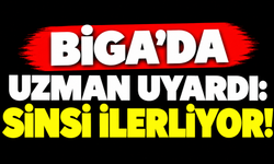 Biga’da uzman uyardı: Sinsi ilerliyor!