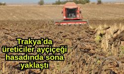 Trakya’da üreticiler ayçiçeği hasadında sona yaklaştı (Video)