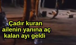 Çadır kuran ailenin yanına aç kalan ayı geldi (Video)