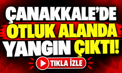 Çanakkale'de otluk alanda yangın çıktı!
