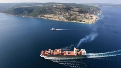Çanakkale Boğazı'na 300 yavru ıstakoz bırakıldı