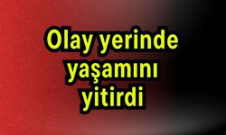 Olay yerinde yaşamını yitirdi