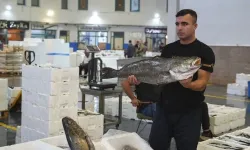 Ege'de balıkçılar "son 20 yılın en bereketli sezon başlangıcını" yaptı