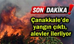 Çanakkale’de yangın çıktı, alevler ilerliyor