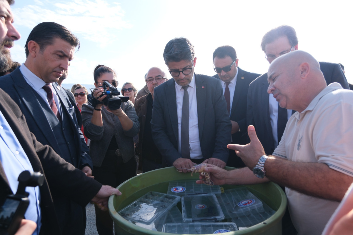 ÇOMÜ’den COP31 Yolunda Mavi Geleceğe Bilimsel Katkı: Istakozlar Denizle Buluşuyor fotoğraf 2