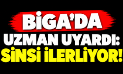 Biga’da uzman uyardı: Sinsi ilerliyor!