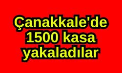 Çanakkale'de 1500 kasa yakaladılar