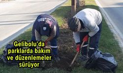Gelibolu’da parklarda bakım ve düzenlemeler sürüyor