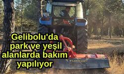 Gelibolu'da park ve yeşil alanlarda bakım yapılıyor