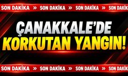 Çanakkale’de Korkutan Yangın!