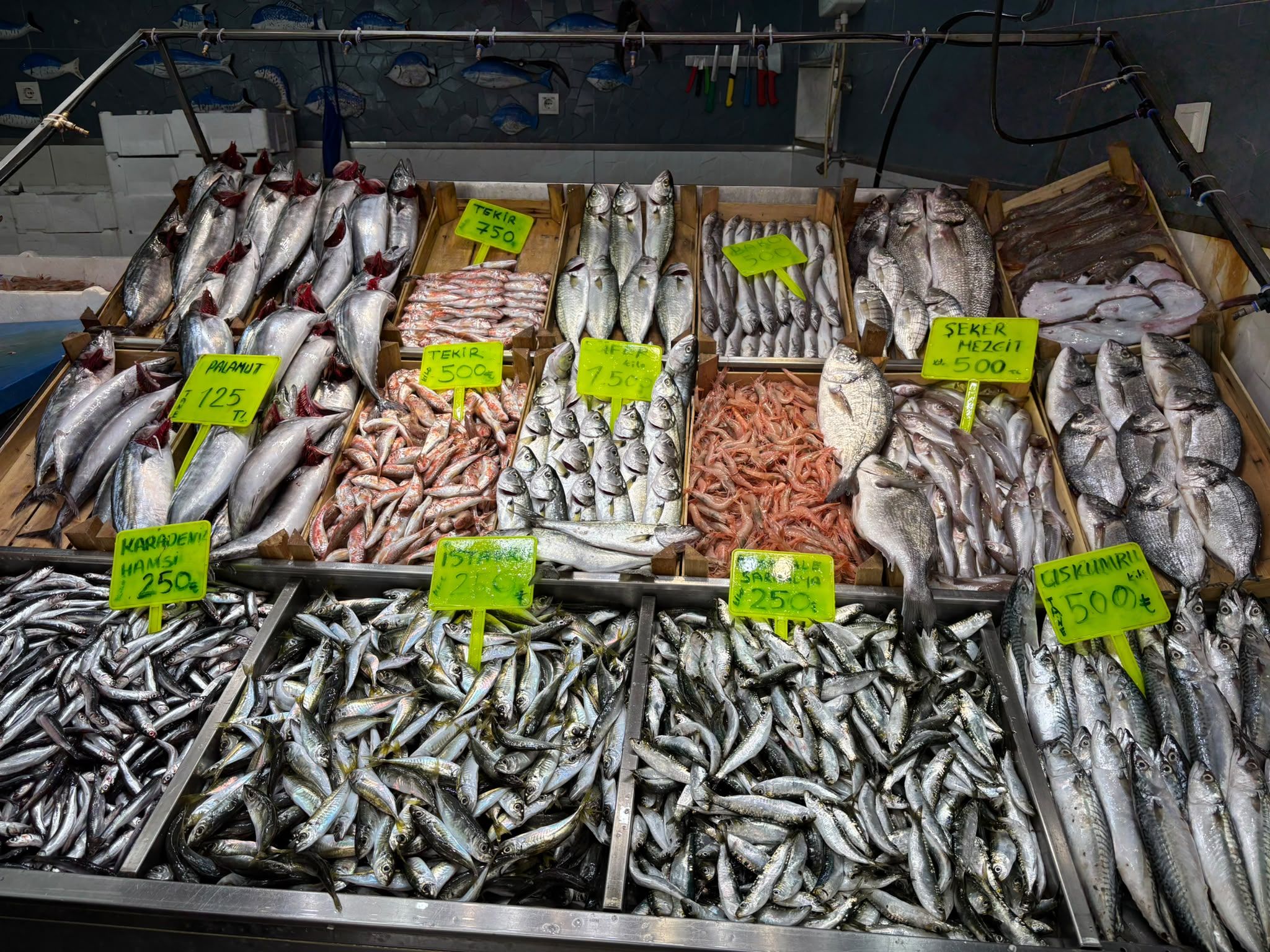 Biga’da Bir Balık 125 Tl, Diğeri 1.500 Tl!