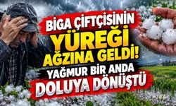 Biga çiftçisinin yüreği ağzına geldi! Yağmur bir anda doluyla dönüştü