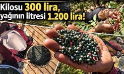 Kilosu 300, yağı 1200 lira (Video)