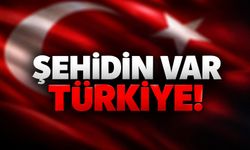 Uzman Çavuş Aslan silah kazasında şehit oldu