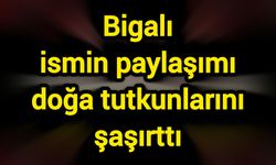 Bigalı ismin paylaşımı doğa tutkunlarını şaşırttı