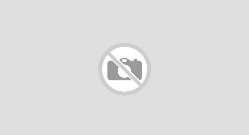 Bahçeşehir Koleji - PAOK: 84-81