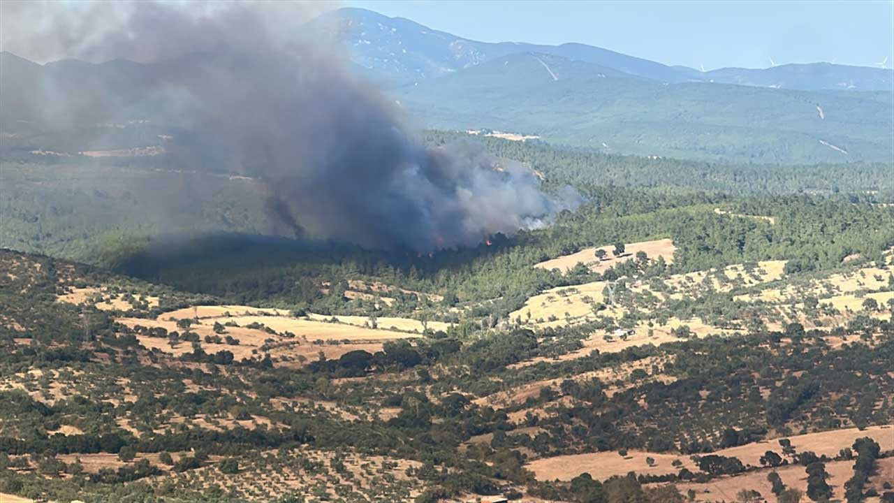 Alevler Çanakkale’yi sardı! Orman yangınında son durum