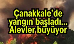 Çanakkale’de yangın başladı… Alevler büyüyor