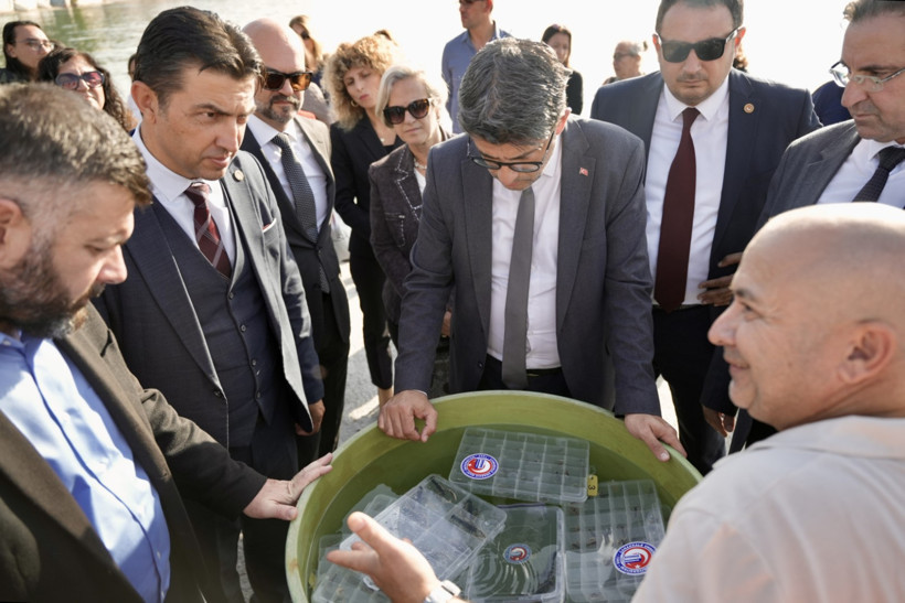 Çanakkale Boğazı'na 300 yavru istakoz bırakıldı - Resim : 1