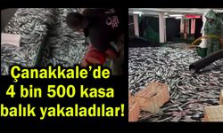Çanakkale’de 4 bin 500 kasa balık yakaladılar!