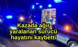 Kazada ağır yaralanan sürücü hayatını kaybetti (Video)
