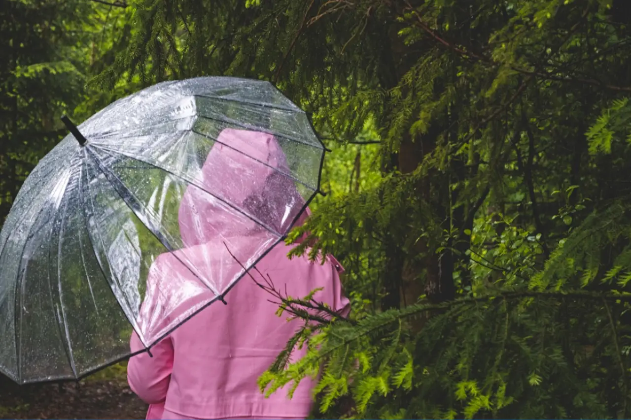 Sıcak hava yerini gök gürültülü sağanağa bırakıyor: Meteoroloji yağış beklenen illeri açıkladı