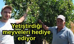 Yetiştirdiği meyveleri hediye ediyor (Video)