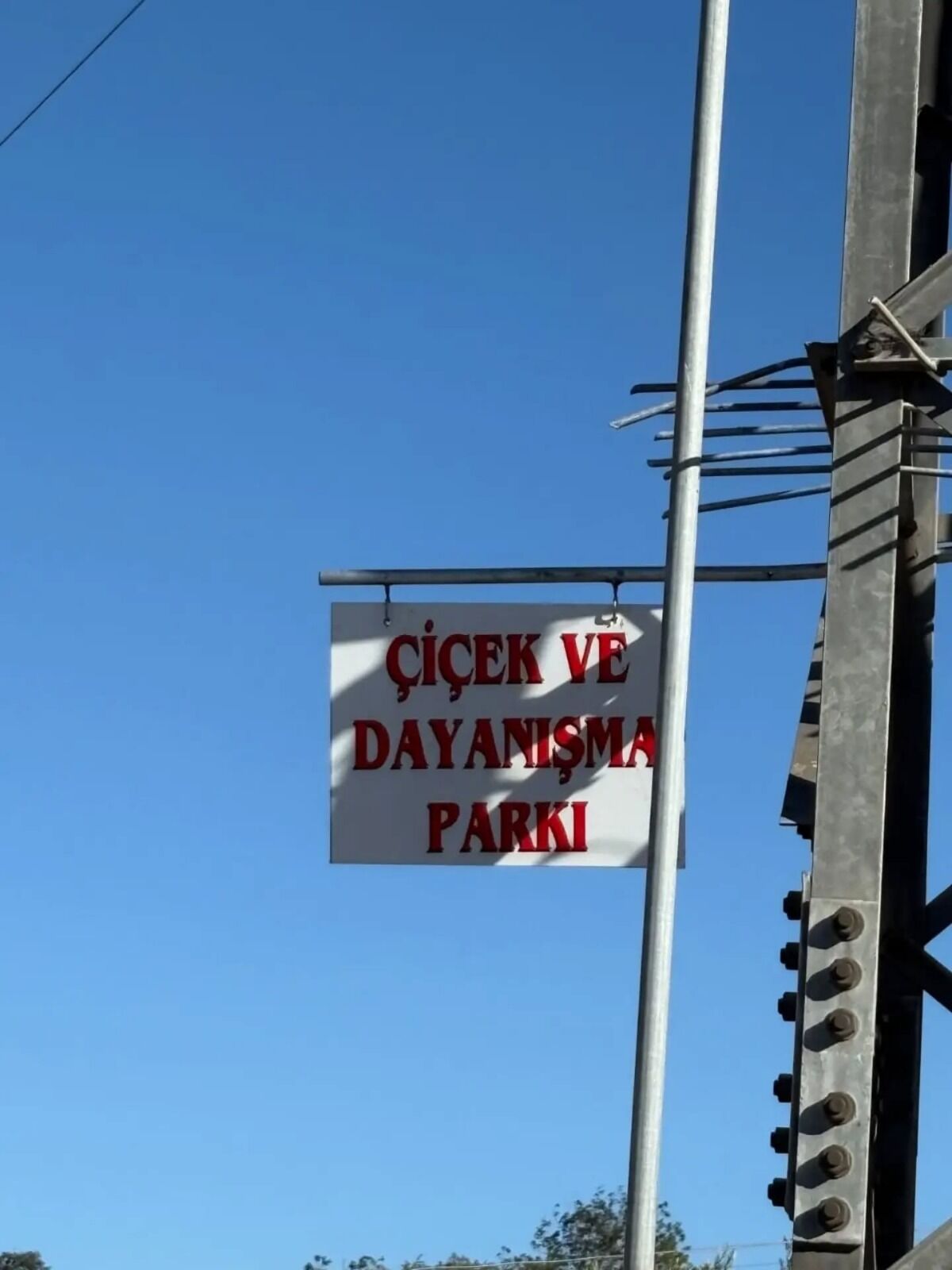 109Bb104 9448 4F00 A6E5 D6052D5F8Cb6