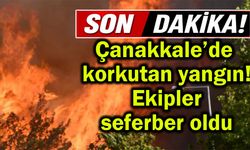 Çanakkale’de korkutan yangın! Ekipler seferber oldu (Video)