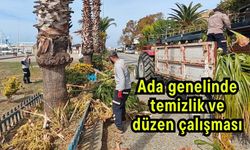 Ada genelinde temizlik ve düzen çalışması