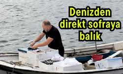 Denizden direkt sofraya balık
