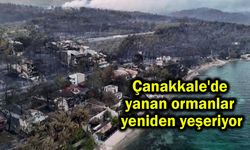 Çanakkale'de yanan ormanlar yeniden yeşeriyor (Video)