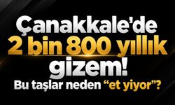 Çanakkale’de 2 bin 800 yıllık gizem! Bu taşlar neden “et yiyor”?