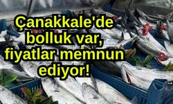 Çanakkale'de bolluk var, fiyatlar memnun ediyor!