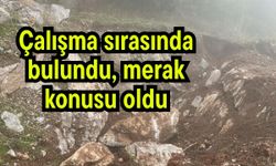 Çalışma sırasında bulundu, merak konusu oldu