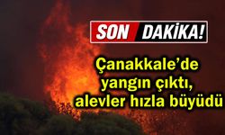 Çanakkale’de yangın çıktı, alevler hızla büyüdü...